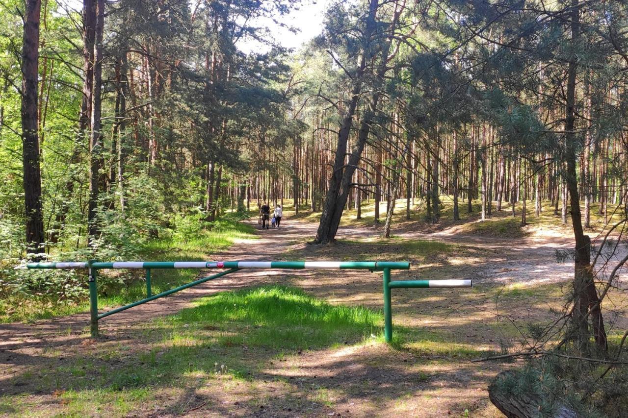 Camp Bursztynowy Las กดัญสก์ ภายนอก รูปภาพ