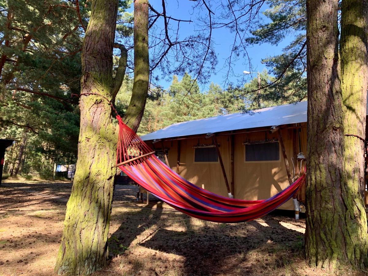 Camp Bursztynowy Las กดัญสก์ ภายนอก รูปภาพ