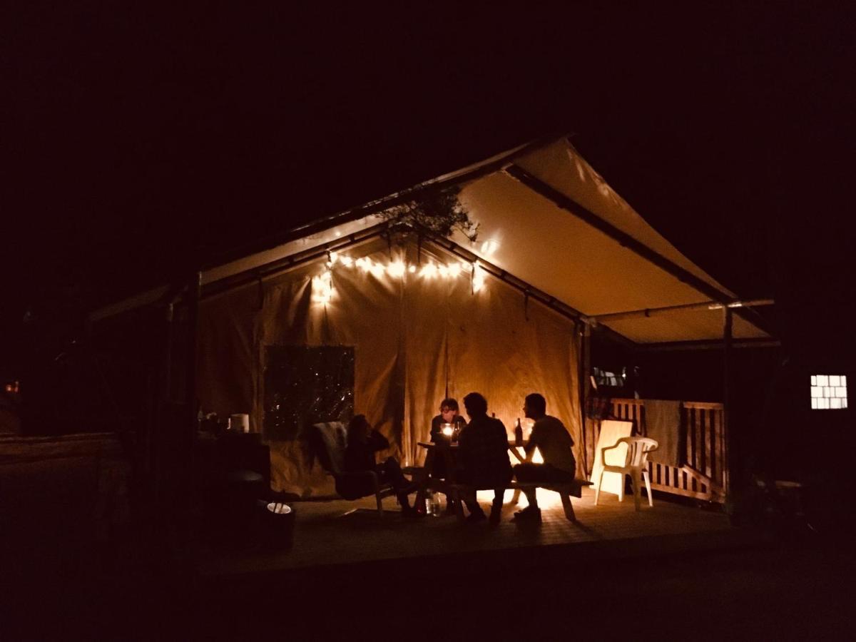 Camp Bursztynowy Las กดัญสก์ ภายนอก รูปภาพ