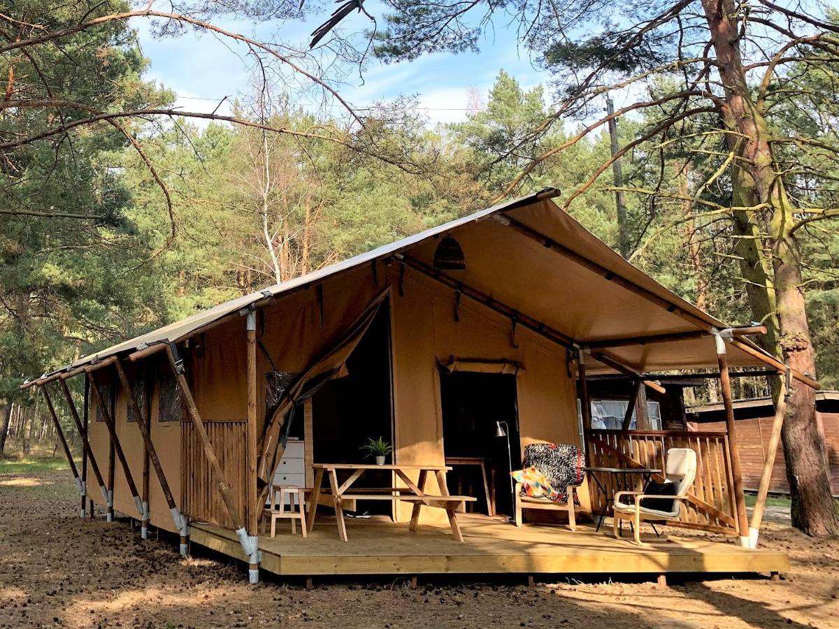 Camp Bursztynowy Las กดัญสก์ ภายนอก รูปภาพ